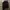 The North Face Gorpcore Track jacket Pria black photo 4