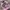 Y2K Pink Afro Graphic Tank Top photo 2