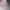 VANS Vintage Y2K Sneakers Wanita pink photo 2