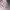 VANS Vintage Y2K Sneakers Wanita Pink