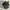 Montbell Sportswear Hat Pria green gray photo 4