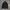 G-STAR RAW JACKET SECOND BRANDED photo 5