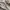 Adidas Handball Spezial Cordura Cardboard Crystal Sand photo 2