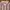 LEVIS 501 CHAMBRAY LINEN MULTICOLORED SHORT SLEEVE SHIRT Siz photo 2
