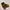 SOS Boone Boots Yellow