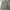 8Seconds Military Slant Pocket Jacket photo 6