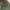 Fatigue pants Green olive Military loose fit’s photo 5