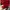 Puma Sportswear T-shirt Pria Red