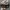 Compass Streetwear Sportswear Casual Shoe Pria Gray Cream