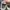 Compass Streetwear Sportswear Casual shoe Pria gray cream photo 4