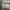 Compass Streetwear Sportswear Casual shoe Pria gray cream photo 3