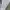 Pierre Cardin Minimalist Sweatshirt Pria gray cream photo 4