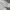 Minimalist Sweatshirt Pria white gray photo 2