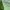 Stussy Streetwear Fleece Pria green photo 5
