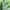 Stussy Streetwear Fleece Pria green photo 6