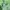 Stussy Streetwear Fleece Pria green photo 7
