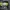 Nike nylon running Jacket photo 8