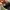 Adidas Spezial Handball Cordura Pack Gray Green Army photo 7