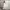 Coquette Casual Maxi skirt Wanita white photo 1