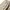 Japanese brand Vintage Streetwear Casual pants Pria tan photo 7