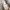 Alexandre Mattiussi AMI Short pants not stussy supreme photo 5