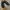 Vintage Indie Brogue Wanita black photo 1
