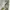 Streetwear Casual Crop top Wanita green photo 3