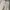 Uniqlo Streetwear Casual Casual pants Pria cream photo 4