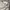 Uniqlo Streetwear Casual Casual pants Pria cream photo 5