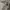 Uniqlo Streetwear Casual Casual pants Pria silver tan photo 5