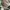 MCGREGOR SAGE GREEN PANTS photo 8