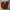 Uniqlo Streetwear Casual Casual Pants Pria Burgundy