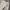 Streetwear Casual Casual pants Pria white photo 4
