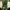green tanktop  photo 4
