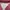 Angel Blue Vintage Y2K Track jacket Pria pink photo 6
