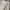 Uniqlo Streetwear Casual Casual pants Pria cream photo 5