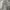 Uniqlo Streetwear Casual Casual pants Pria white black photo 2