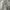 Uniqlo Streetwear Casual Casual Pants Pria White Black