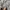 Gorpcore Casual Puffer jacket Pria gray photo 8