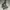 Gorpcore Casual Puffer jacket Pria gray photo 1