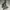 Gorpcore Casual Puffer Jacket Pria Gray