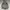 Gorpcore Casual Puffer jacket Pria gray photo 5