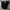 Streetwear Casual Casual pants Pria black photo 1