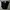 Streetwear Casual Casual Pants Pria Black