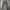 Levi's Streetwear Casual Casual pants Pria gray photo 3
