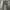 Levi's Streetwear Casual Casual Pants Pria Gray