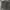 Levi's Streetwear Casual Casual pants Pria gray photo 1