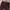 Levi's Streetwear Casual Casual pants Pria burgundy photo 4