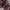 Levi's Streetwear Casual Casual pants Pria burgundy photo 7
