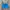  Y2K Billabong Authentic Surf Boardshorts Blue - Rare Detail